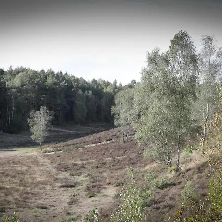 In Veluwe With Sauna And Nature Views Σπίτι διακοπών Ermelo
