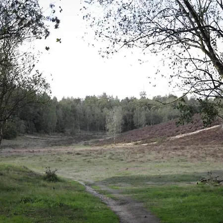 In Veluwe With Sauna And Nature Views
