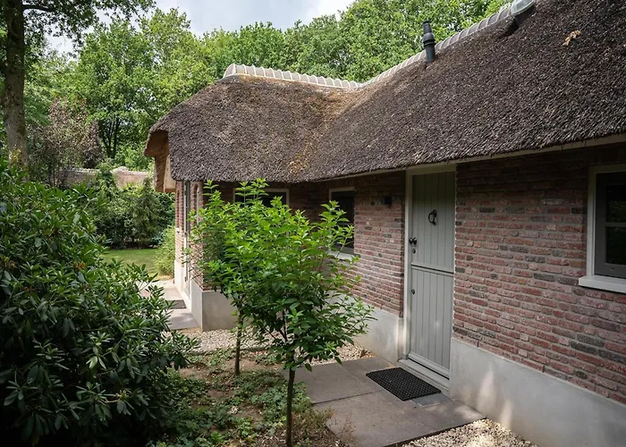 In Veluwe With Sauna And Nature Views Ermelo