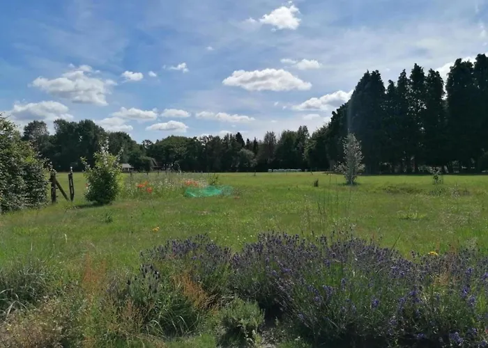 Сasa de vacaciones In Veluwe With Sauna And Nature Views Ermelo