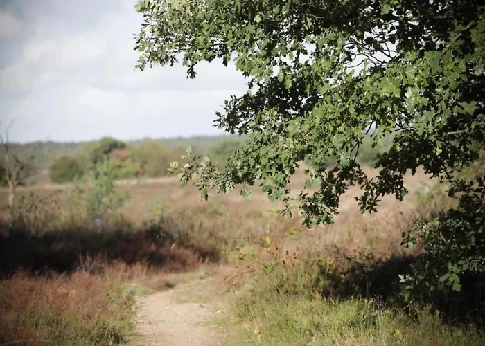 In Veluwe With Sauna And Nature Views Сasa de vacaciones *