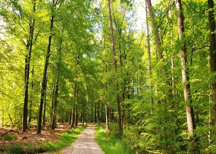 Сasa de vacaciones In Veluwe With Sauna And Nature Views *