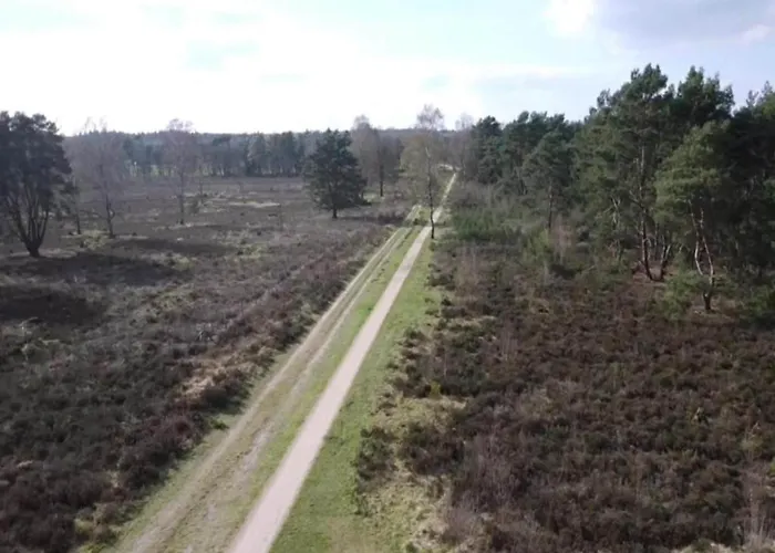 In Veluwe With Sauna And Nature Views