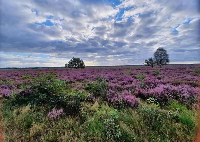 In Veluwe With Sauna And Nature Views Сasa de vacaciones