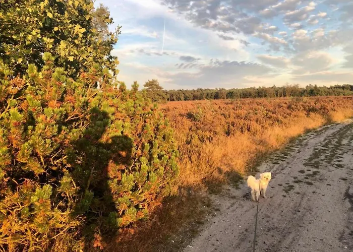 Сasa de vacaciones In Veluwe With Sauna And Nature Views