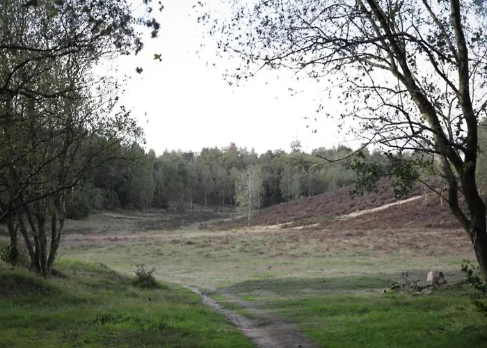 In Veluwe With Sauna And Nature Views
