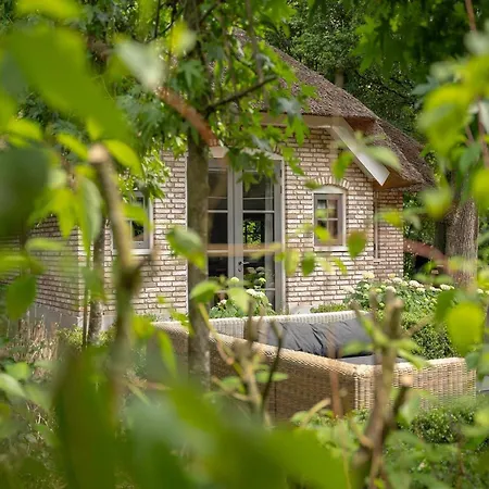 In Veluwe With Sauna And Nature Views *