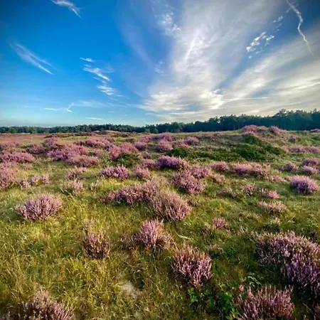 Holiday home In Veluwe With Sauna And Nature Views *