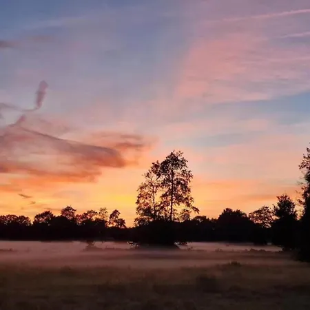 In Veluwe With Sauna And Nature Views