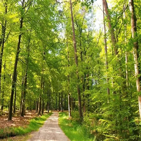 Holiday home In Veluwe With Sauna And Nature Views *